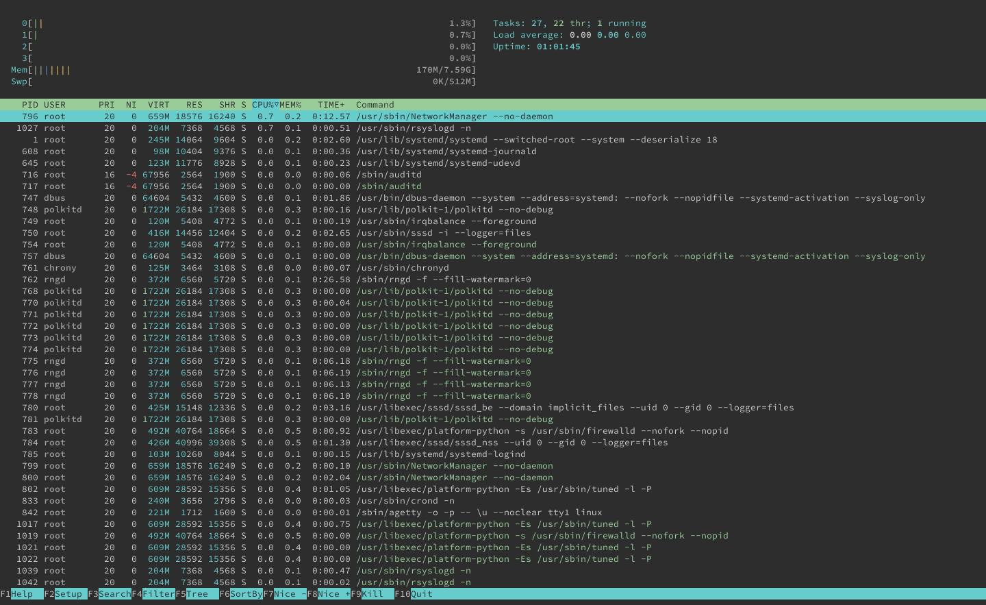 System monitoring display in htop System monitoring display in htop